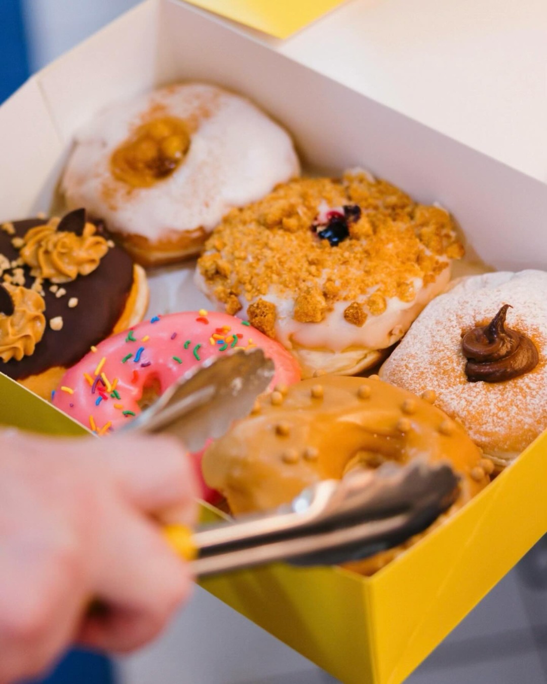Fresh Assorted Doughnuts